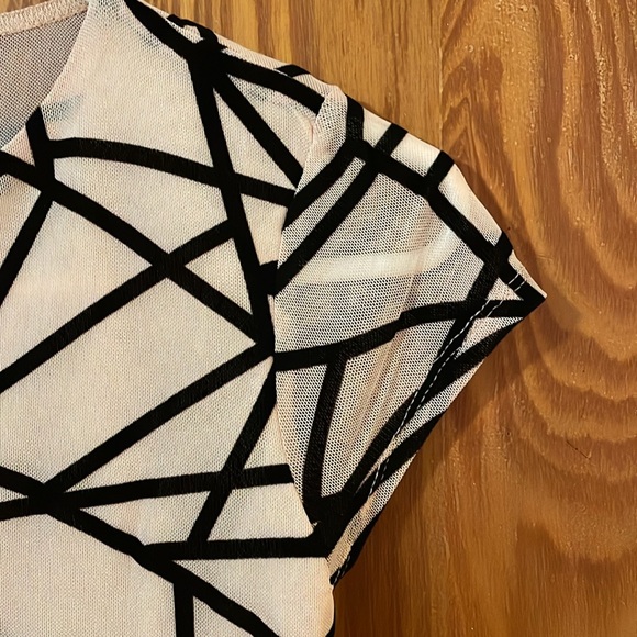 NWOT Velvet Mesh Geometric Top (Nude) - Picture 4 of 7